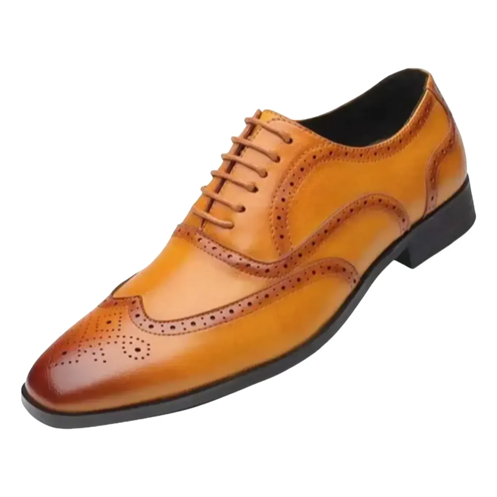 The Bormio Chaussures Oxford classiques en cuir pour homme